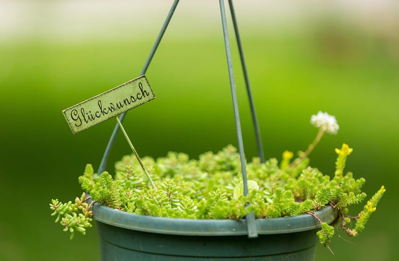 Hanging Pot Systems