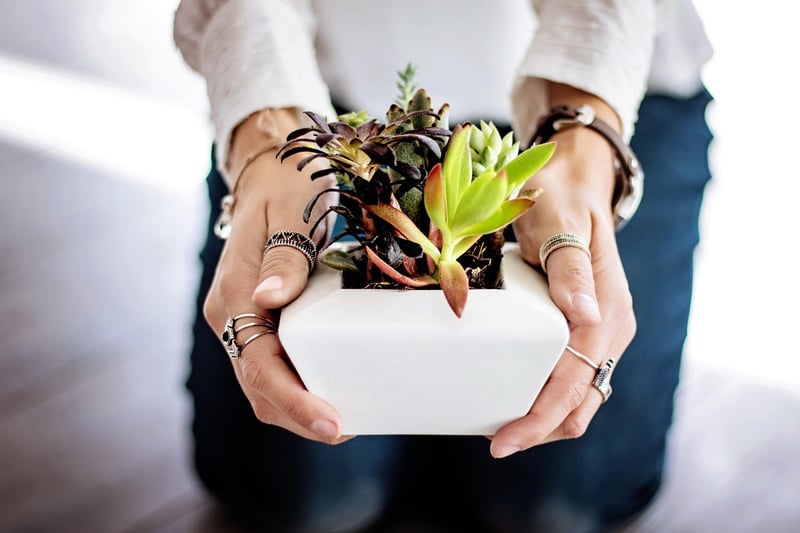 Repurposed Container Garden